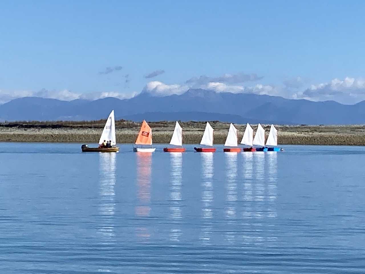 Nelson Tasman forest landscape